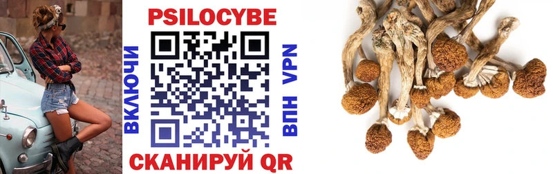 Галлюциногенные грибы Magic Shrooms  как найти   Алагир 