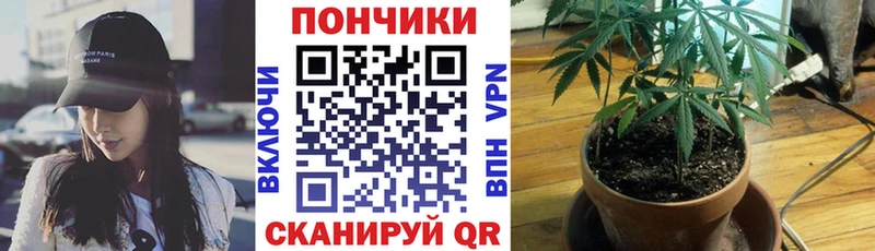 МАРИХУАНА гибрид kraken Алагир